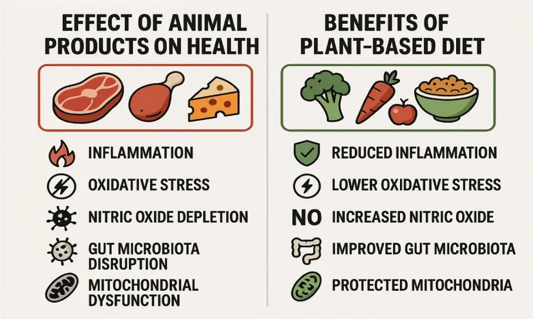 Why we avoid Animal Products: Science and Success Behind Bethsaida Hospitals Whole-Food Plant-Based Cardiac Program