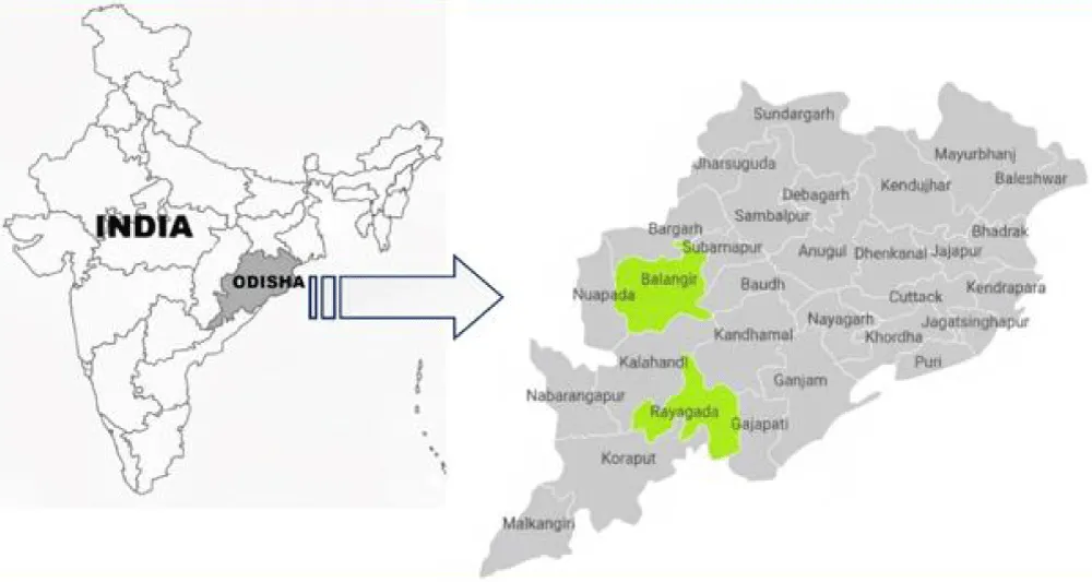 Linking Forest Ecological Status to Wild Food Availability: A Quantitative Assessment