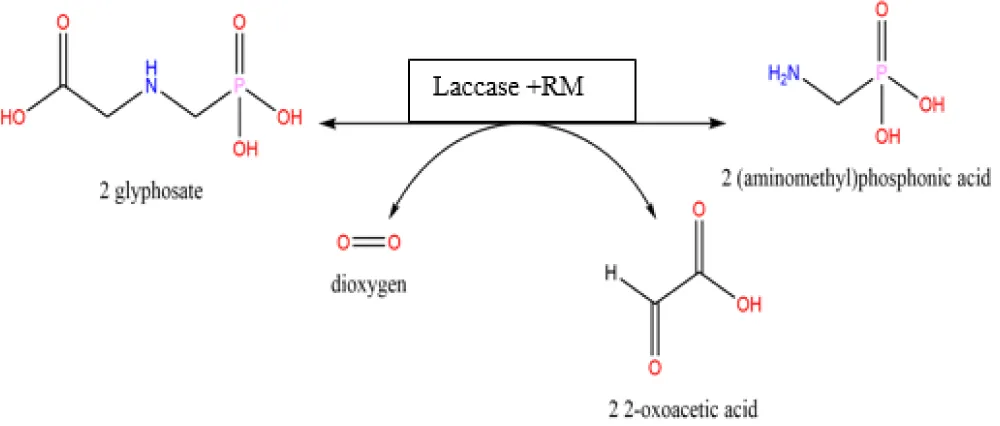 New Spectrophotometric and Electrochemical Enzyme Biosystem Based on Laccase and Ionic Liquid for the Detection of Glyphosate in Biological Samples