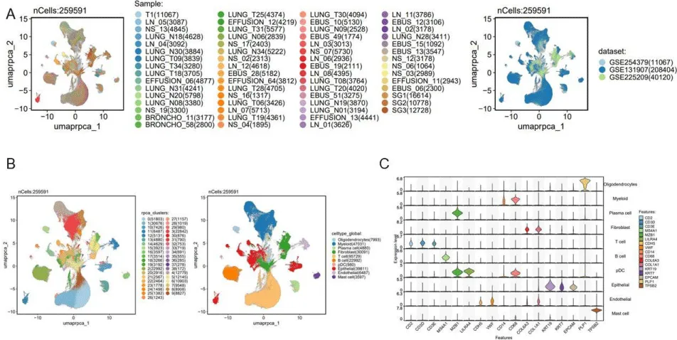The Cellular Crosstalk between the Endothelial Cells and Immune Cells in the Metastasis of NSCLC