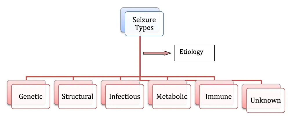 Ecological Dynamics: An Inspiration for Triggering Epilepsy