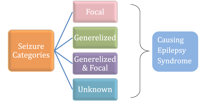 Ecological Dynamics: An Inspiration for Triggering Epilepsy