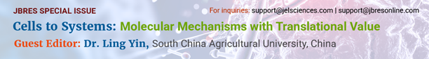 Cells to Systems: Molecular Mechanisms with Translational Value - Special Issue