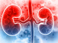Renal Disorders Best Published Papers