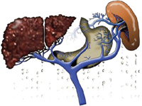 Open Science data on Portal Hypertension