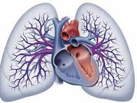 Peer reviewed research in Persistent Pulmonary Hypertension