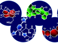 Academic Journals in molecular synthesis