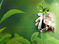Largest Open Access Journal for Botany